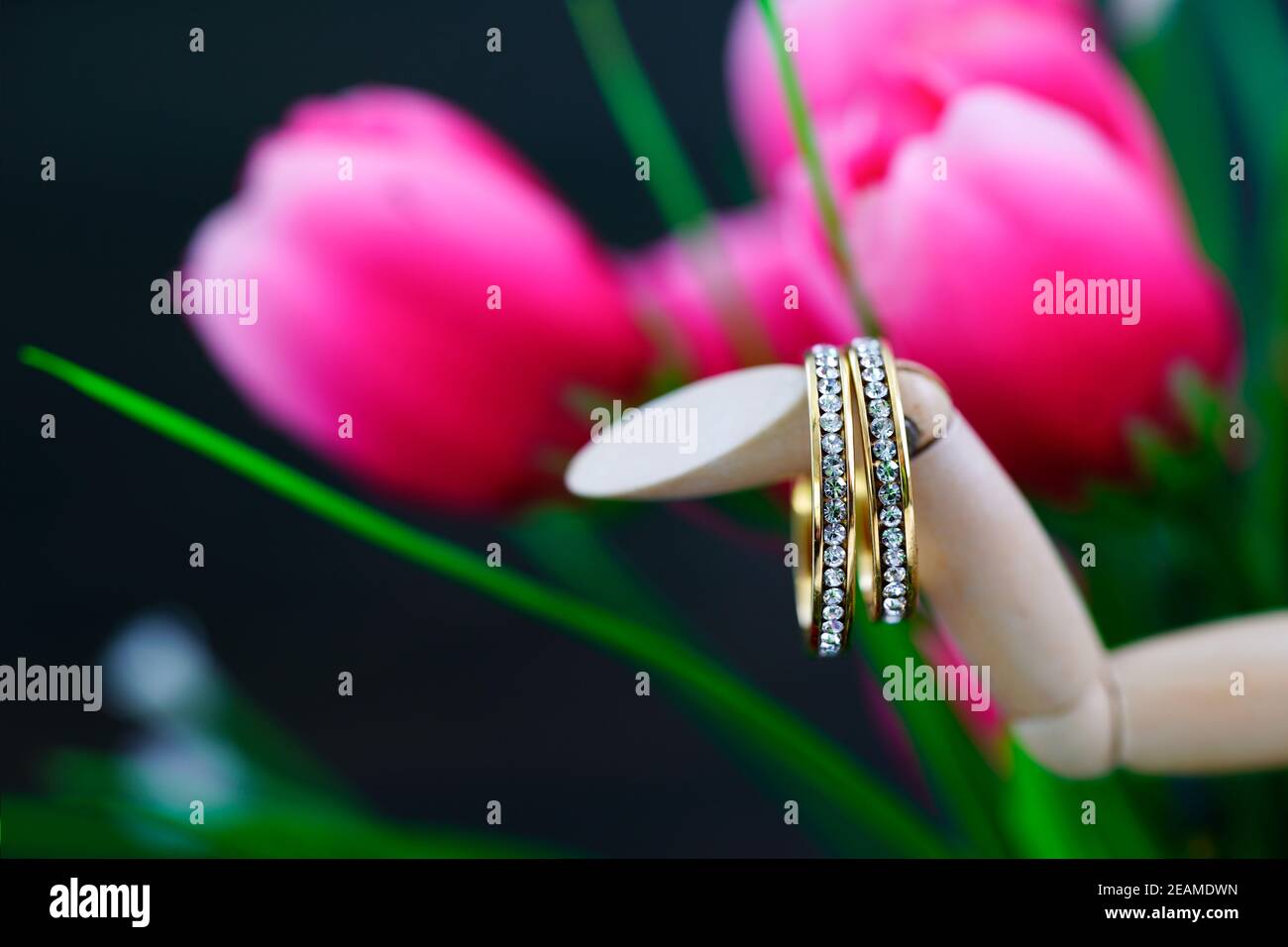 Tulip pink diamond hires stock photography and images Alamy