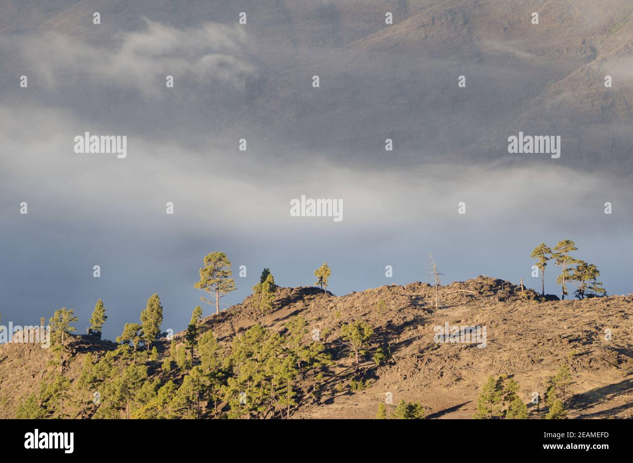 Landscape in the Integral Natural Reserve of Inagua. Stock Photo