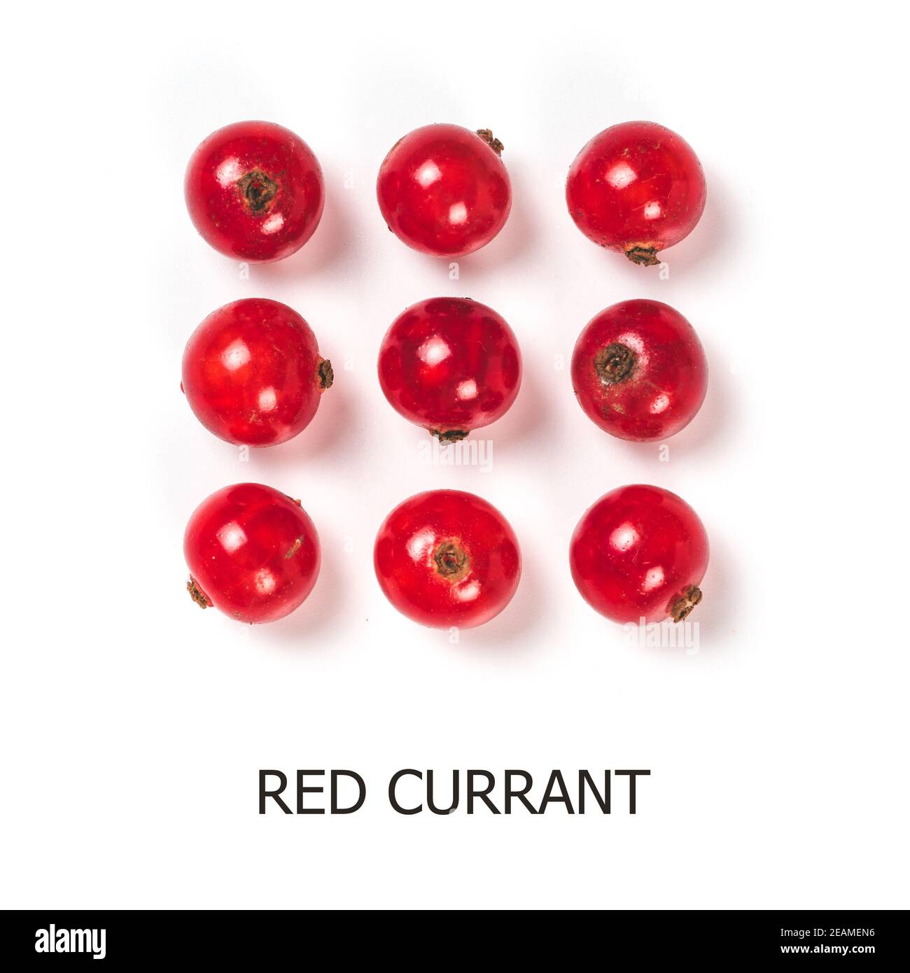 red currant isolated, copy space Stock Photo