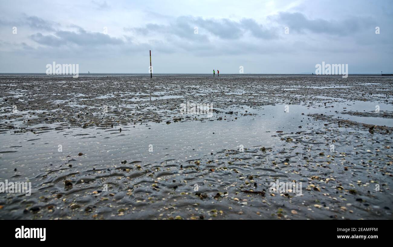 Conversation at low tide in the mud on the Wadden Sea Stock Photo