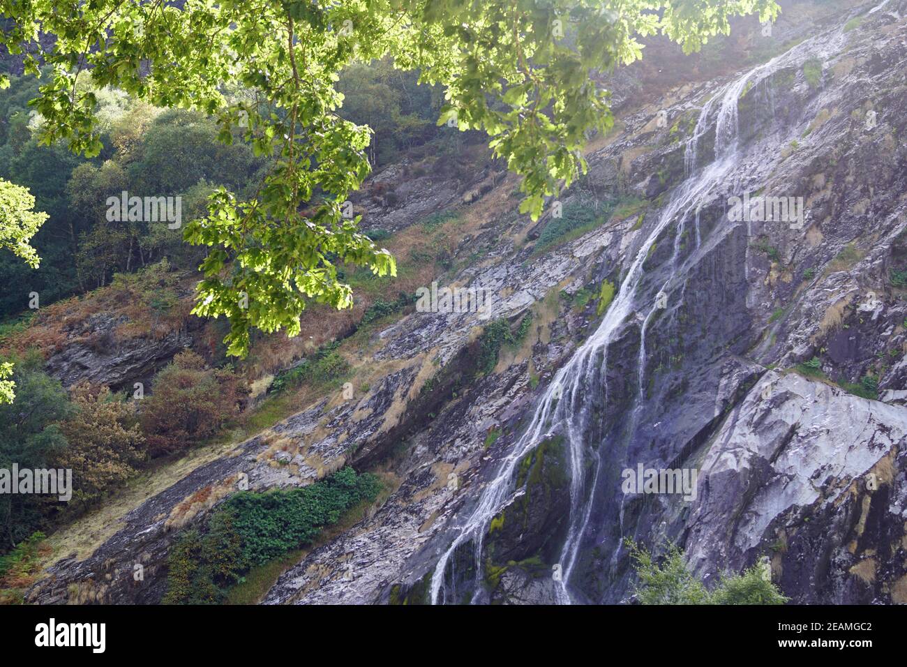 Powerscourt Waterfall Stock Photo