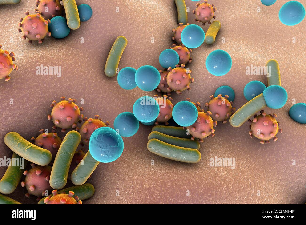 Bacteria and viruses on surface of skin or mucous membrane, mode Stock