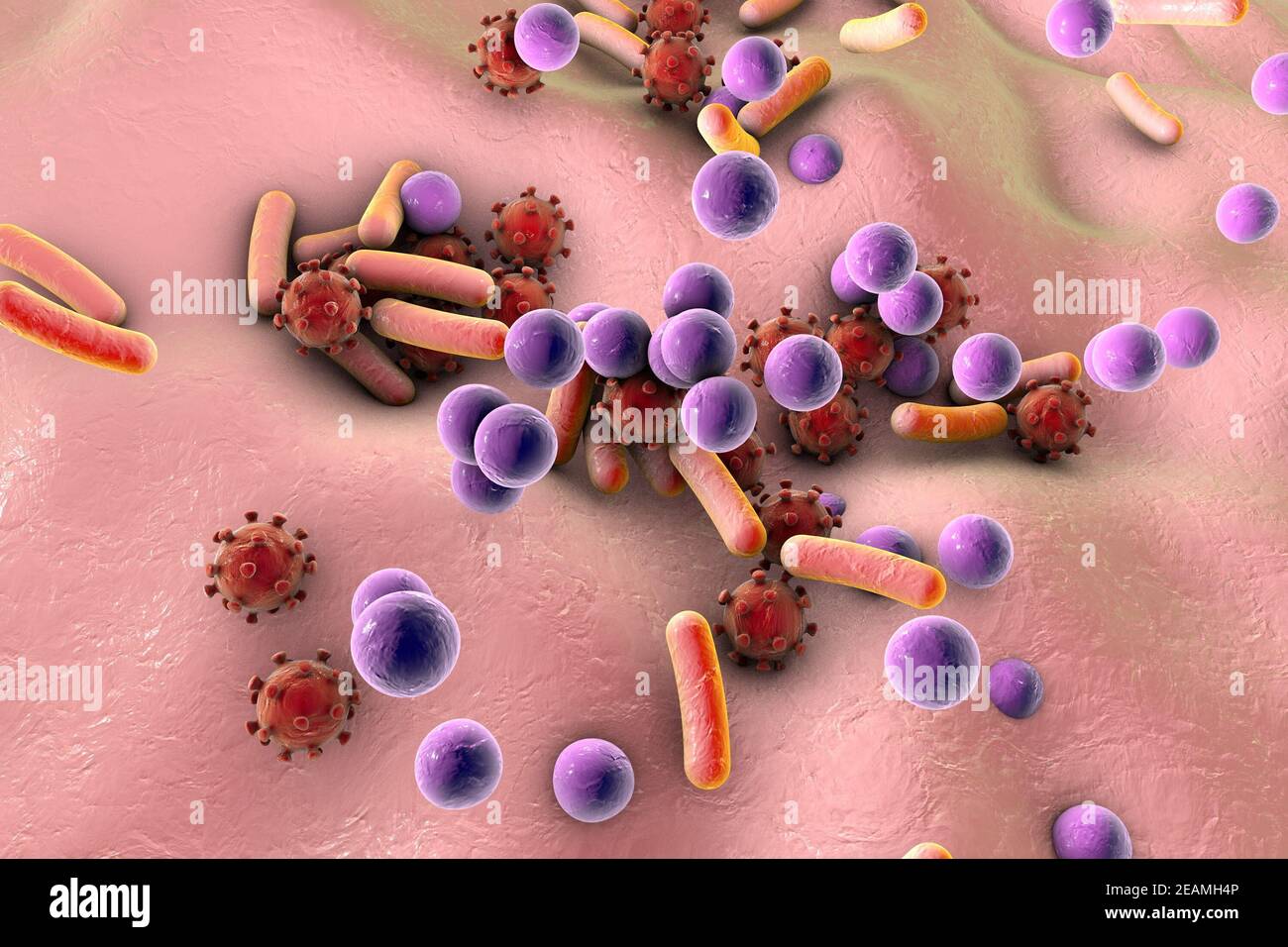 Bacteria and viruses on surface of skin or mucous membrane, mode Stock
