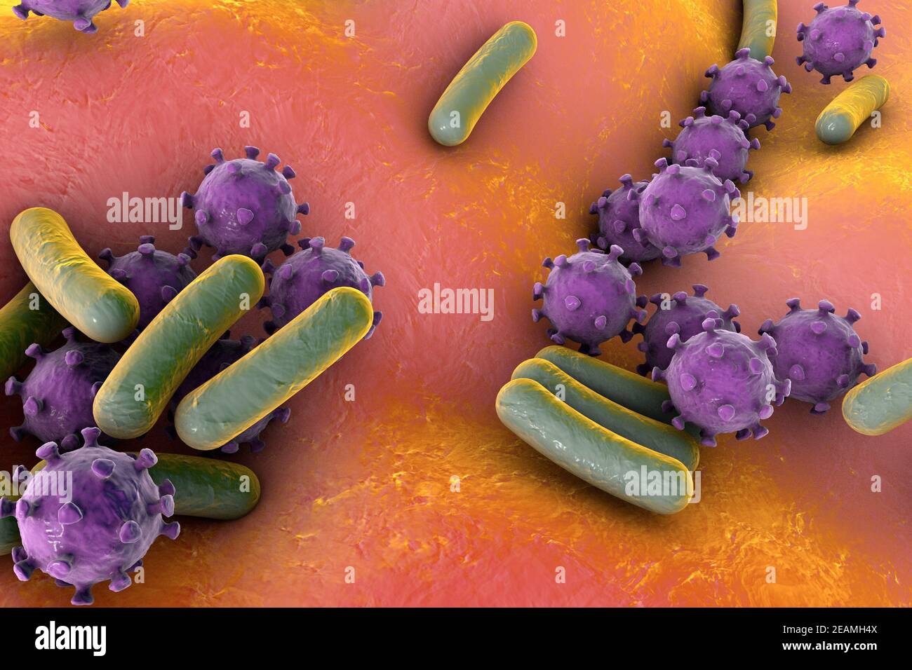 Bacteria and viruses on surface of skin or mucous membrane, mode Stock