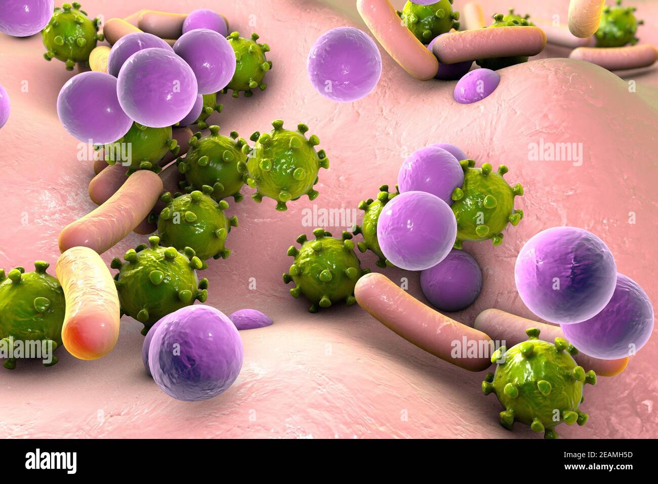 Bacteria and viruses on surface of skin or mucous membrane, mode Stock