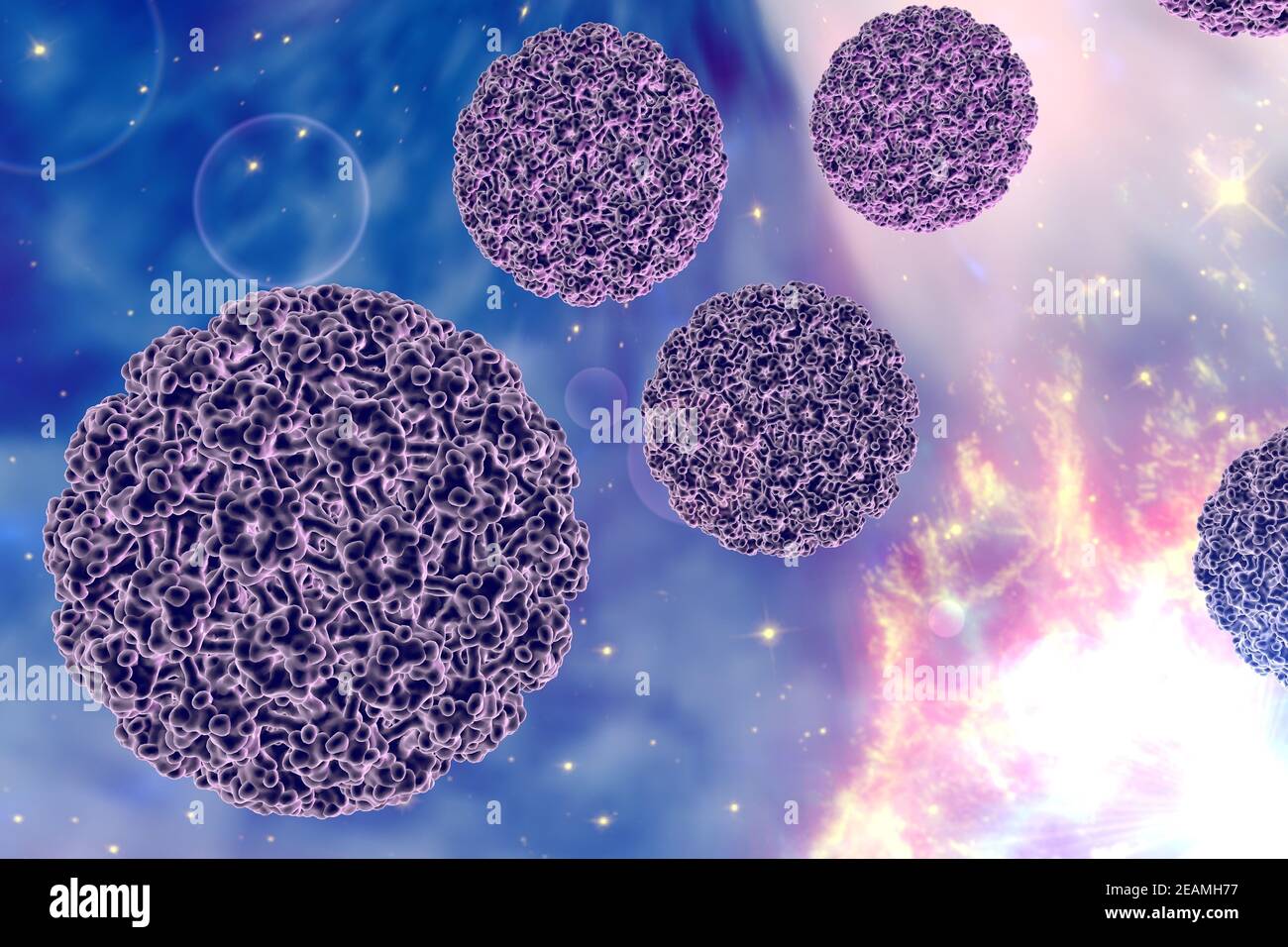 Bacteriemia hires stock photography and images Alamy