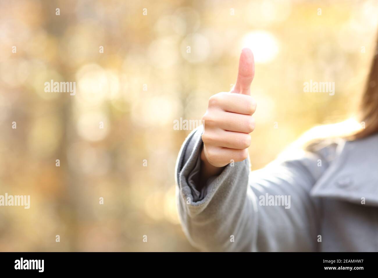 Woman hand gesturing thumbs up in a park in autumn Stock Photo