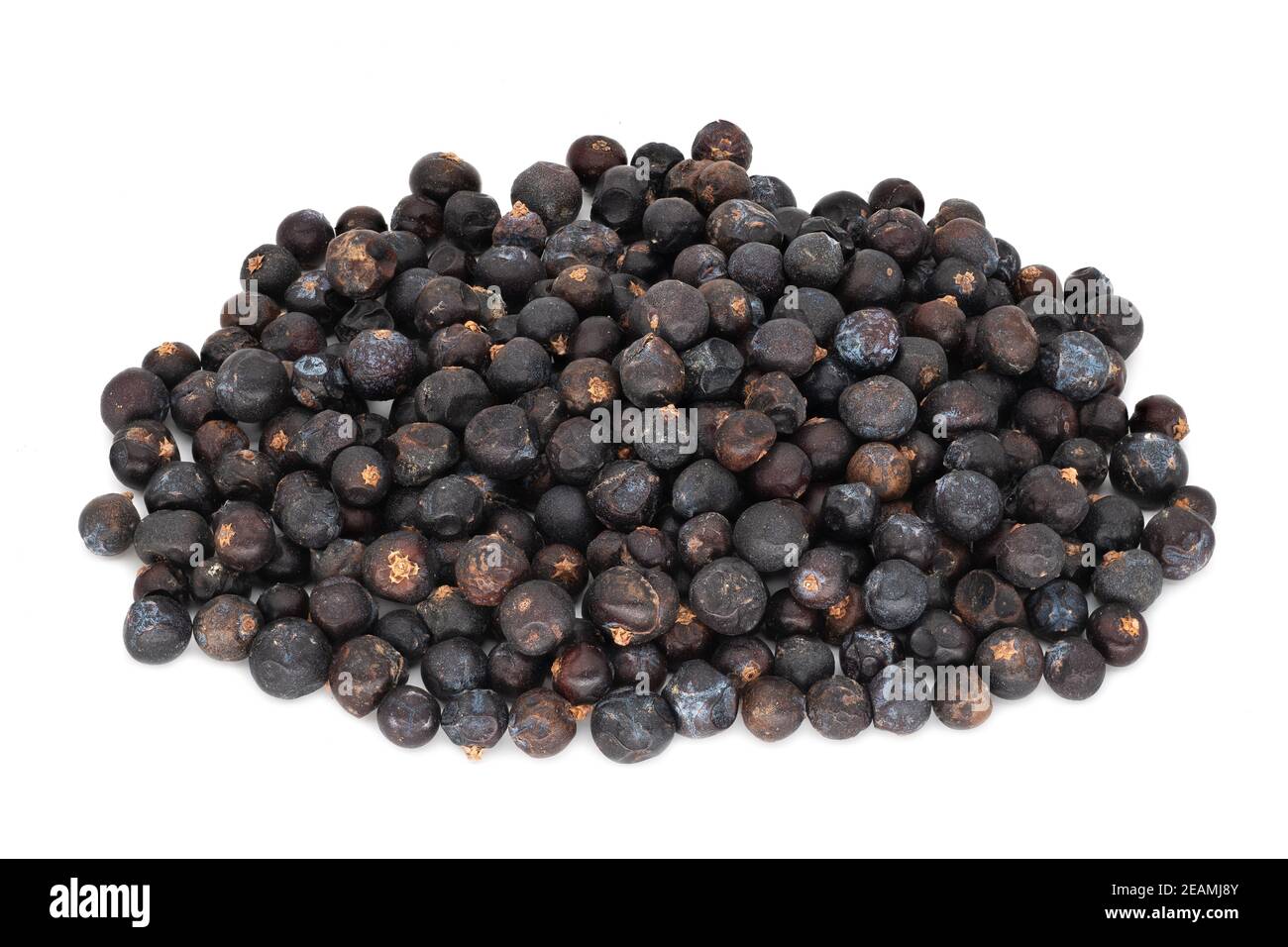 Juniper Berries Stock Photo