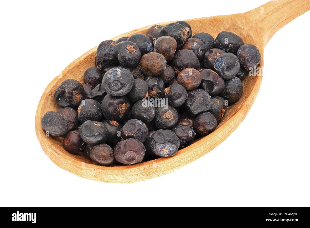 Juniper Berries Stock Photo