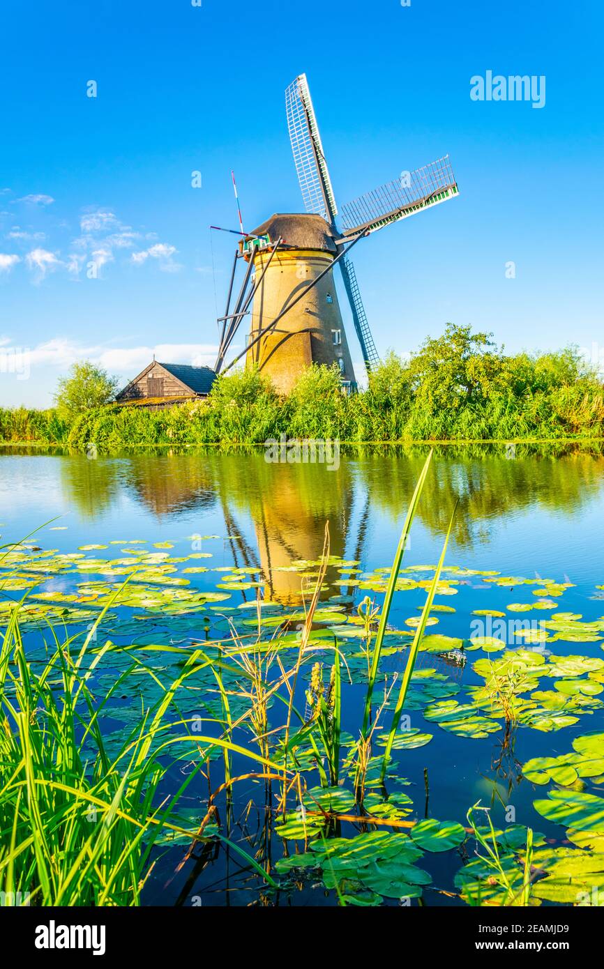 Kinderdijk Windmills Viewed During Sunny Summer Day Rotterdam Kinderdijk Windmills Viewed During Sunny Summer Day Rotterdam