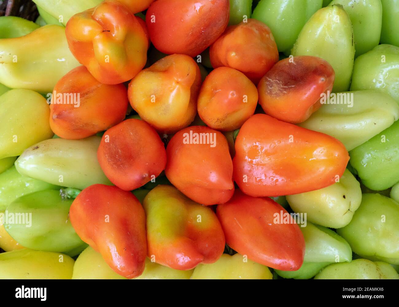 Bulgarian pepper is green and red in the basket Stock Photo