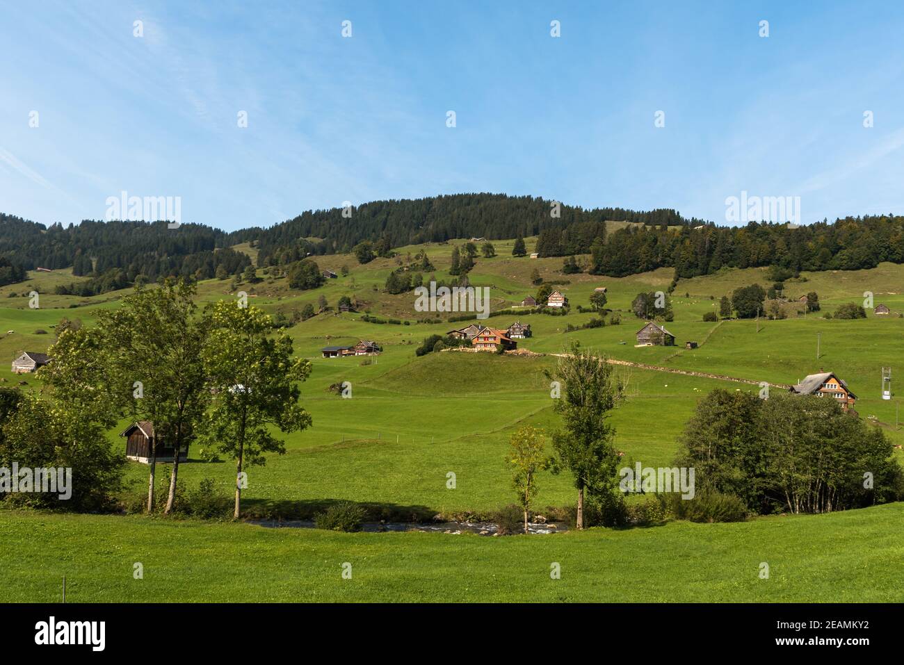 Landscape in Toggenburg with green pastures and farm houses, Canton of St. Gallen, Switzerland Stock Photo