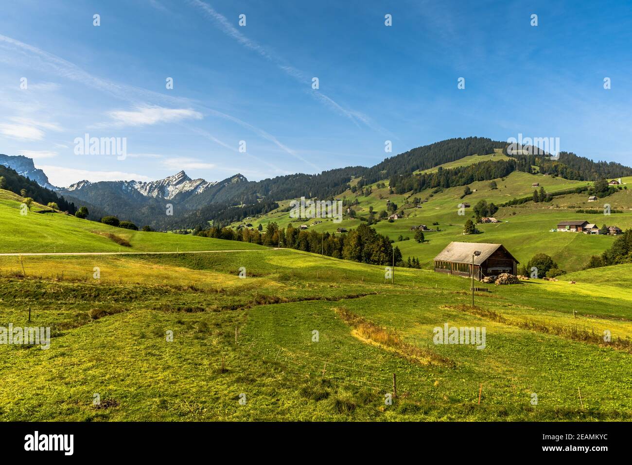 Landscape with pastures and farm houses, Toggenburg, Canton St. Gallen, Switzerland Stock Photo