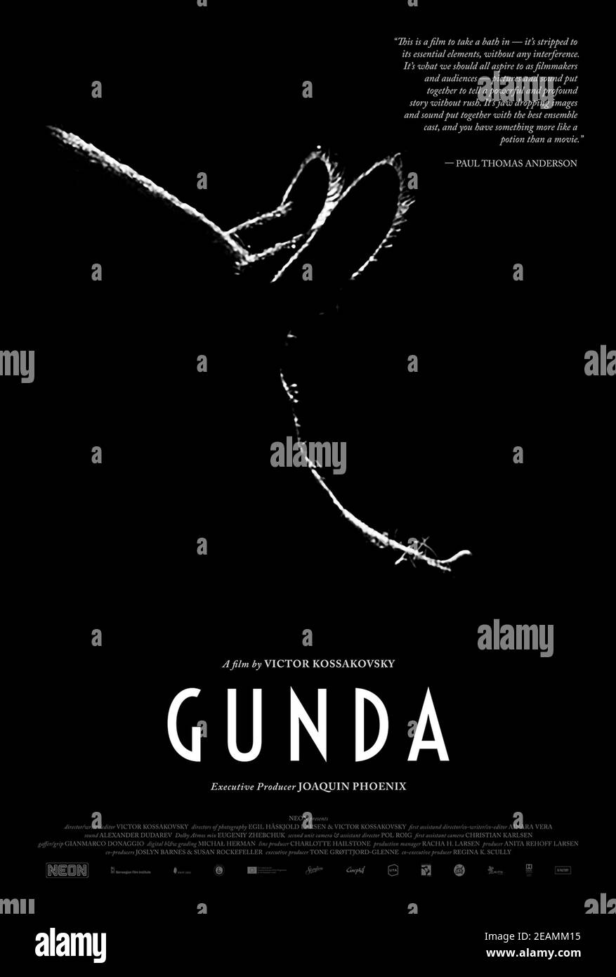 Gunda (2020) directed by Viktor Kosakovskiy. No frills documentary about the daily life of a pig and its farm animal companions. Stock Photo