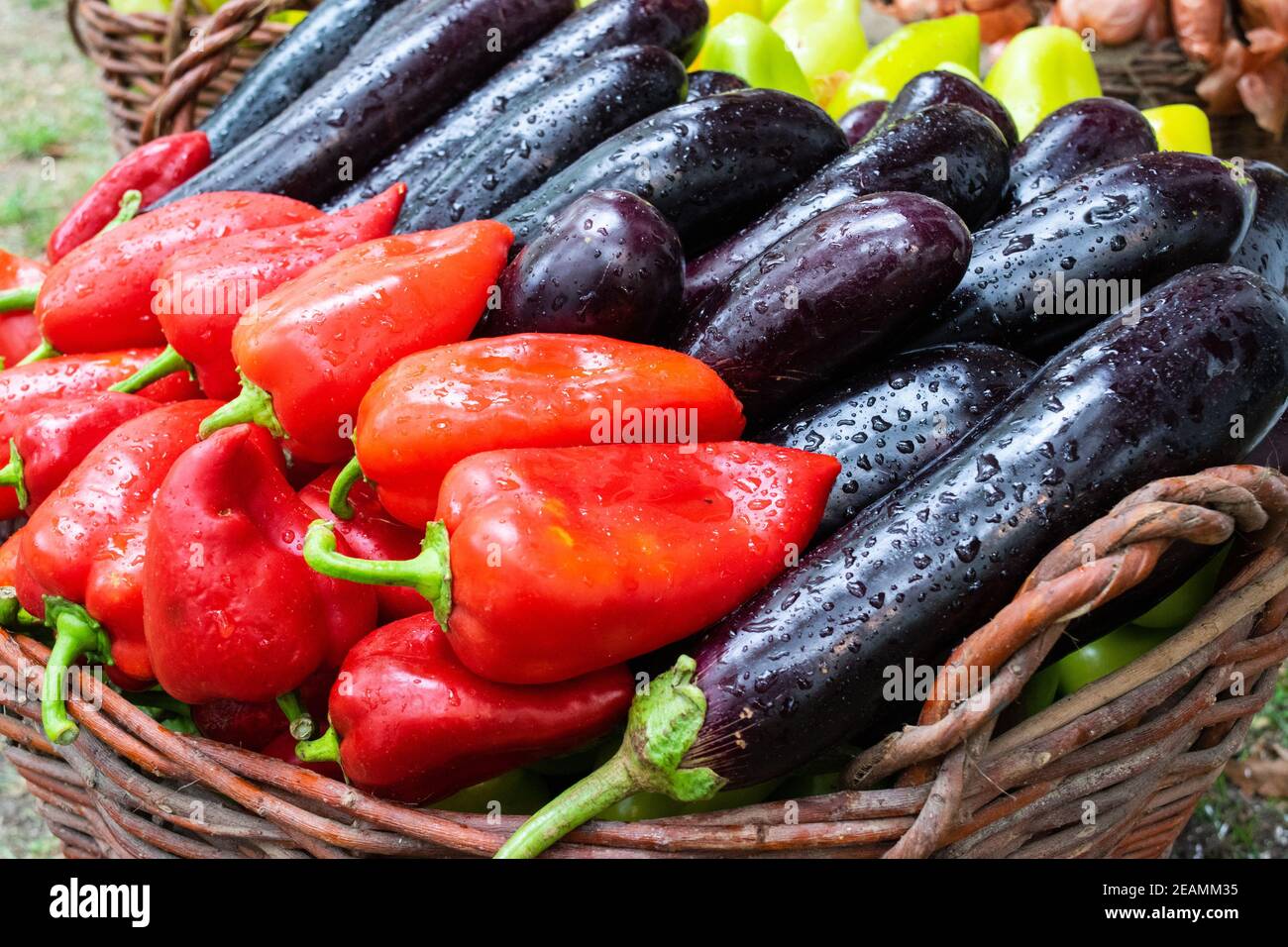 Eggplant and peppers combined together. red and green peppers Stock Photo