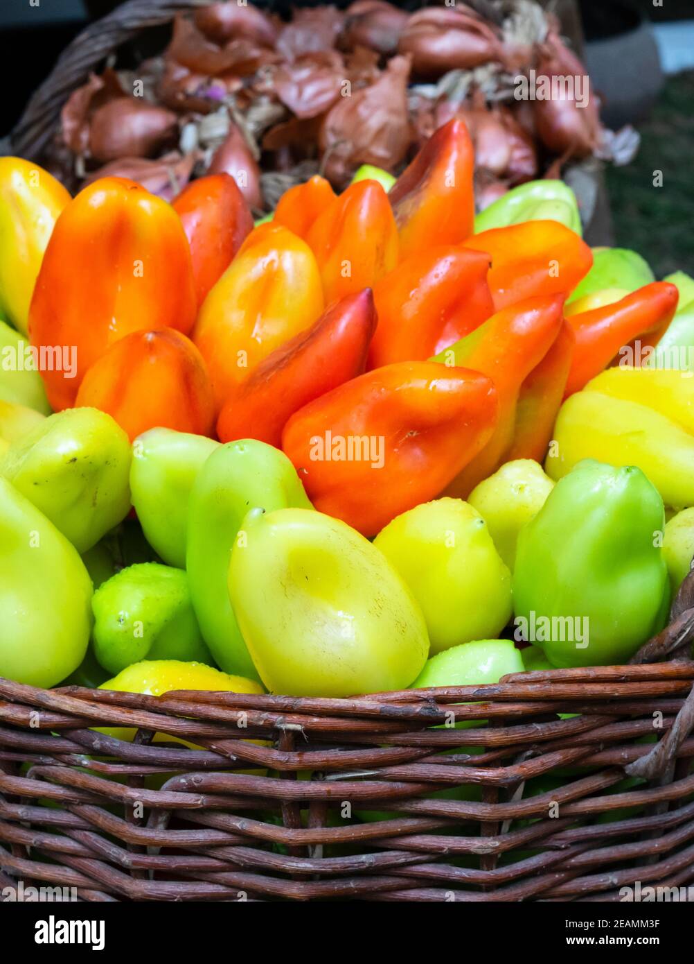Bulgarian pepper is green and red in the basket Stock Photo