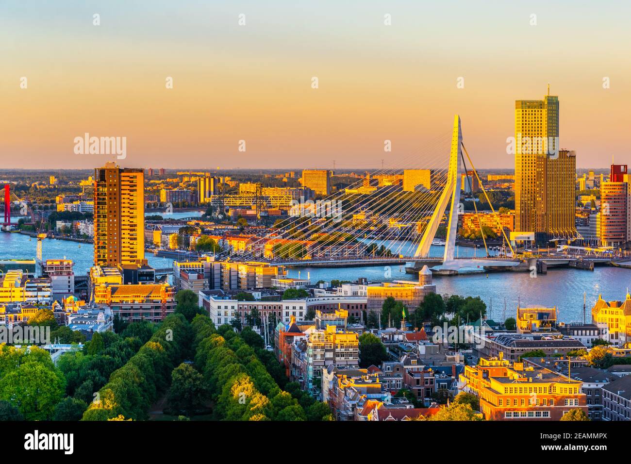willem-bridge-and-city-skyline-hi-res-stock-photography-and-images-alamy