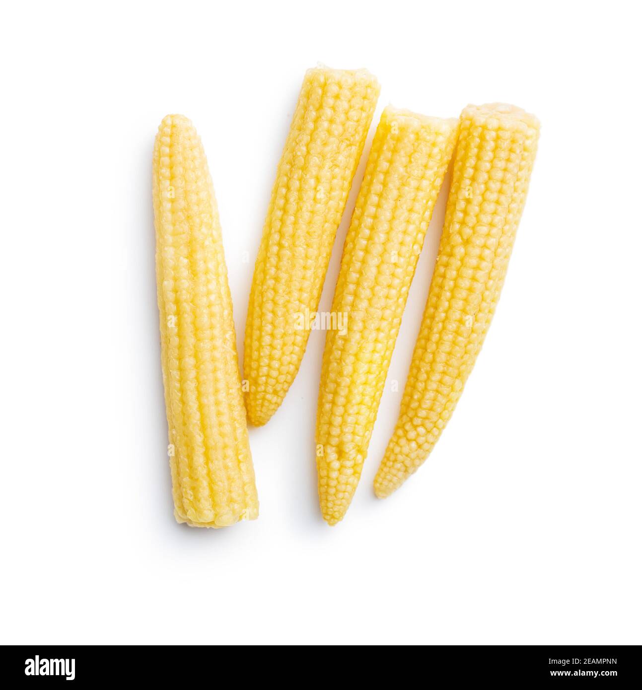 Pickled young baby corn cobs Stock Photo