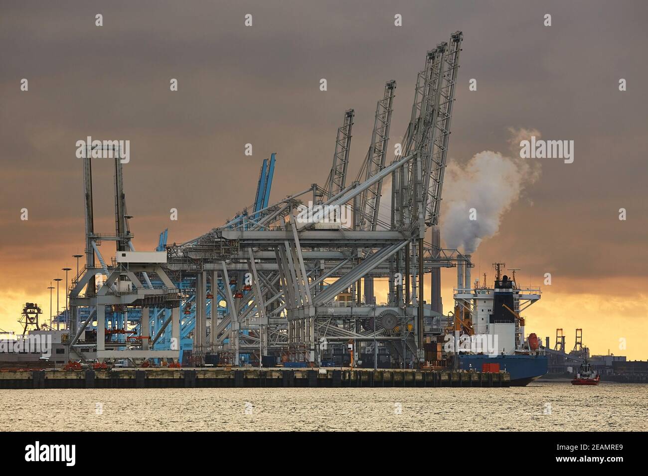 Container Dock in Rotterdam Stock Photo - Alamy