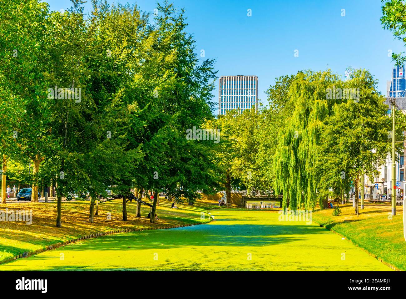 Westersingel channel in Rotterdam, Netherlands Stock Photo