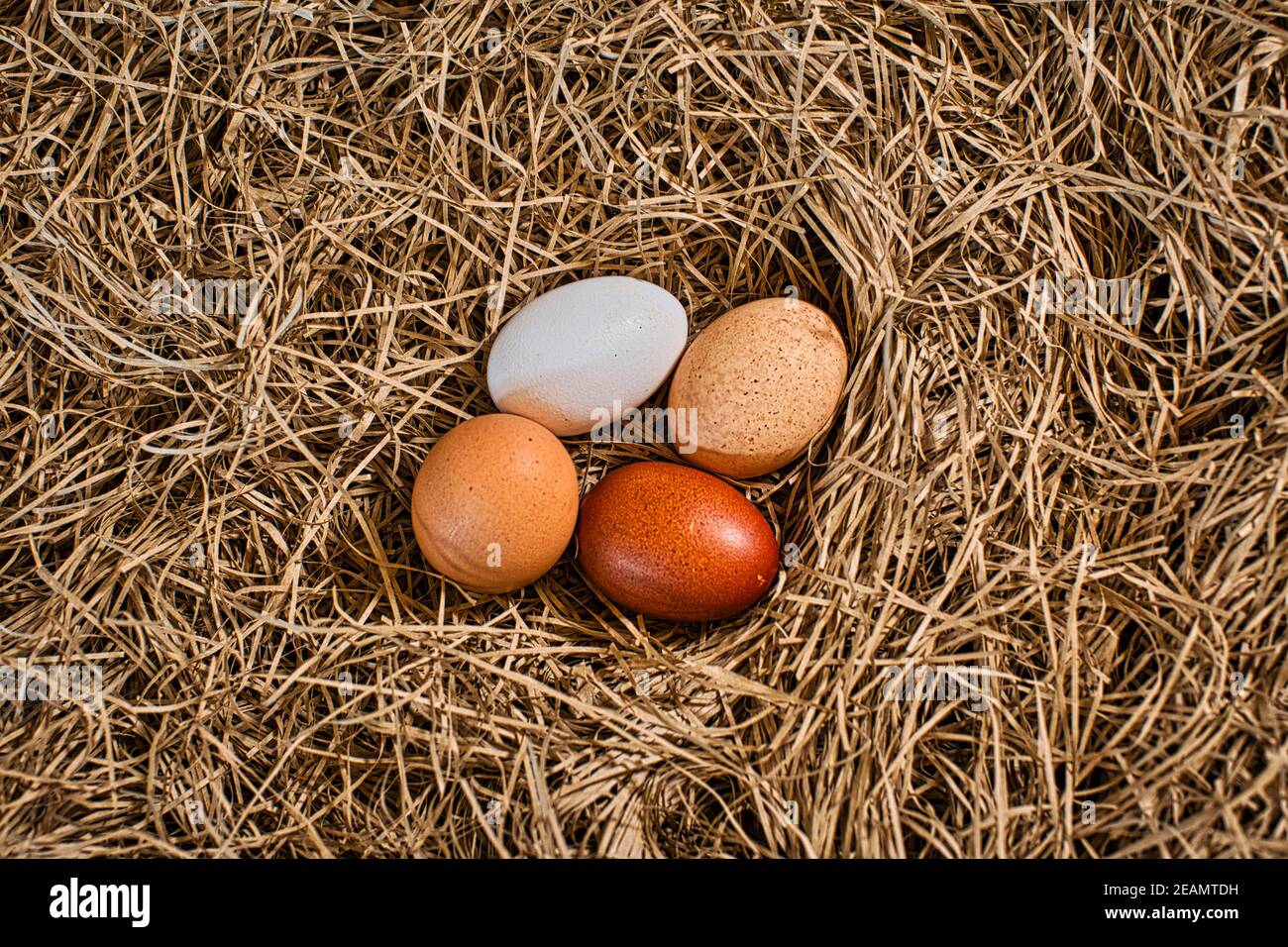 organic eggs straw Stock Photo