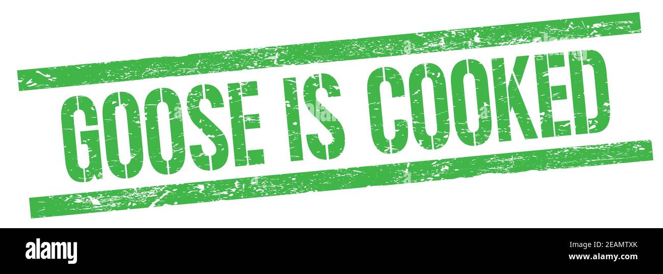 GOOSE IS COOKED text on green grungy rectangle stamp sign. Stock Photo
