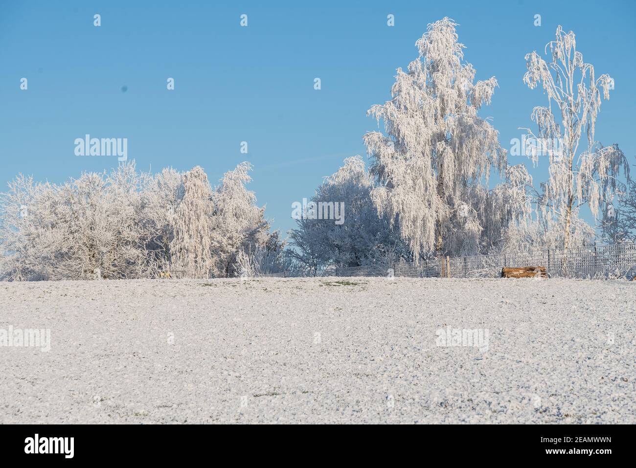 Winter magic hoarfrost - winter landscape Stock Photo