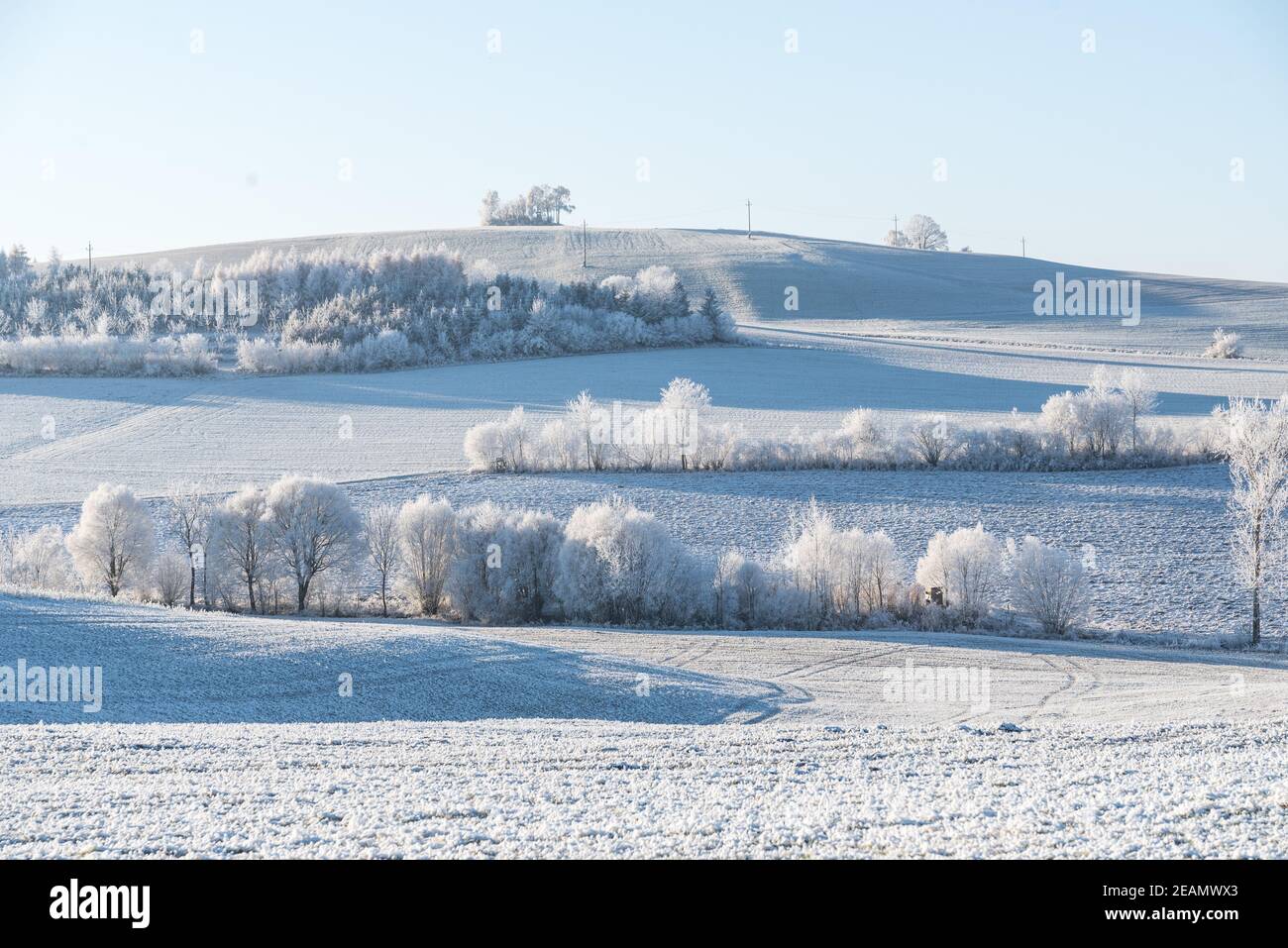 snowy enchanting winter landscape Stock Photo