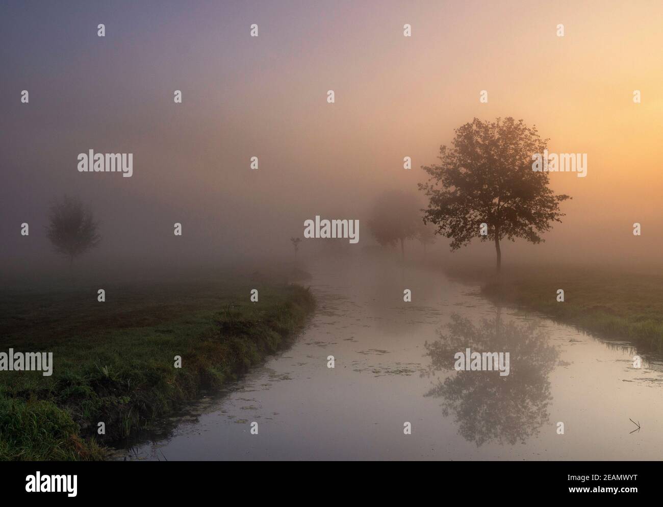 Misty morning near Giessenburg Stock Photo