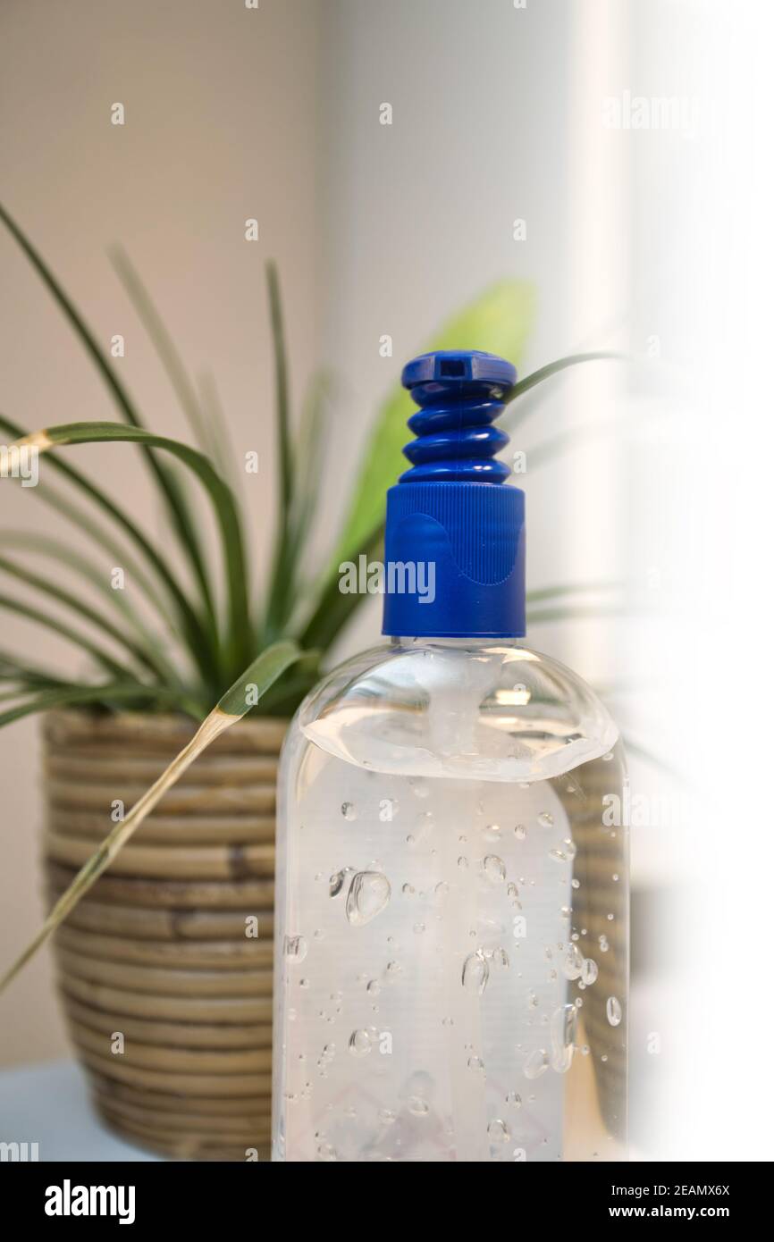 Bottle of hand sanitizer, antimicrobial liquid gel, germ prevention or