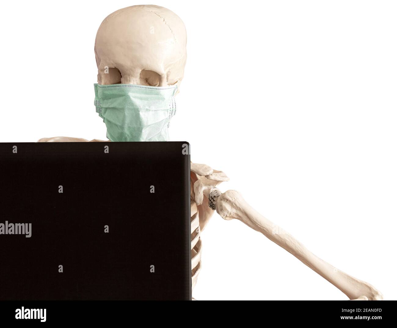 skeleton in protective medical mask works with the laptop Stock Photo