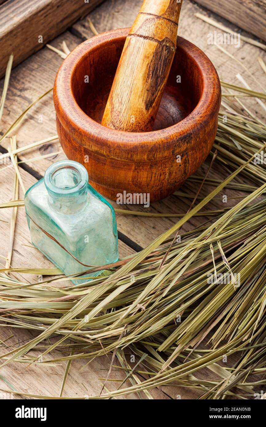 Hierochloe in herbal medicine Stock Photo