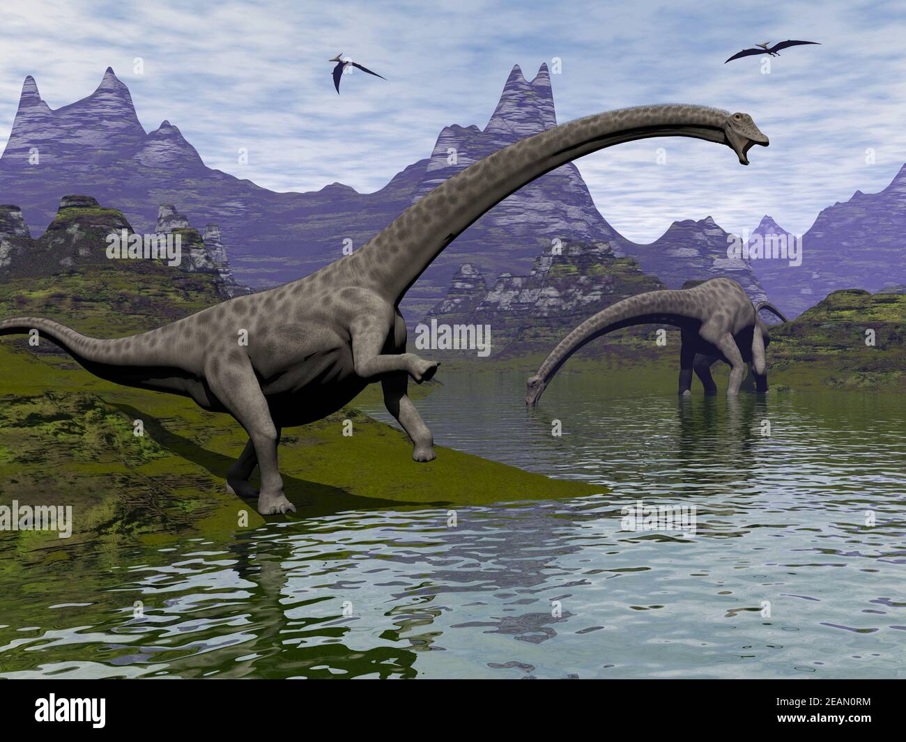 Diplodocus dinosaurs 3D render Stock Photo Alamy