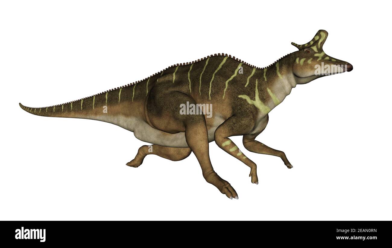 Lambeosaurus dinosaur running - 3D render Stock Photo - Alamy