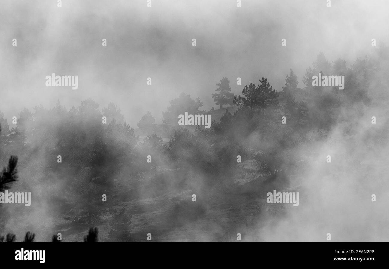 Low clouds over valley, view from the mountains. Low clouds. Stock Photo