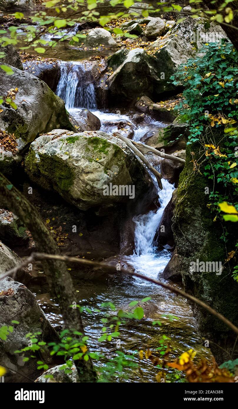 Mountain small river in forest with rapids and waterfalls. A forest ...