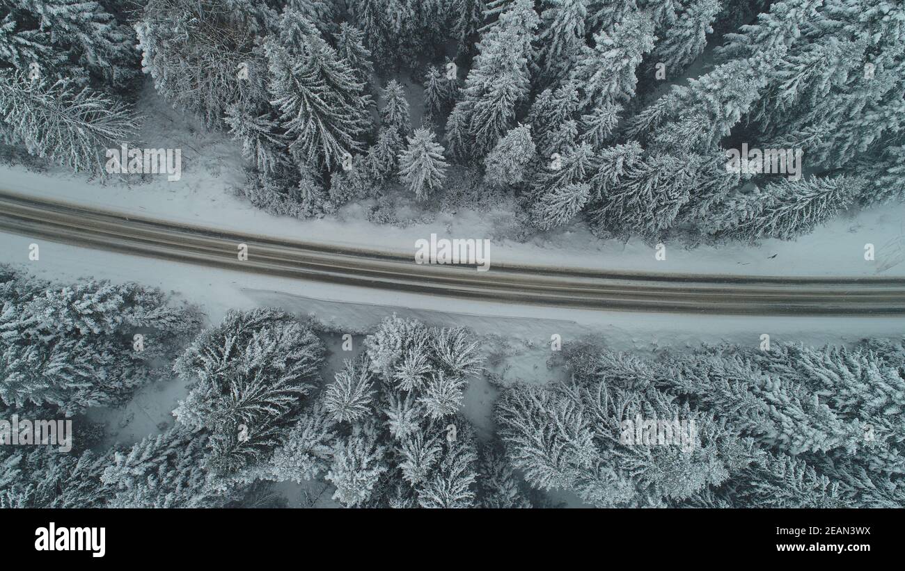 country road in winter season with fresh snow Stock Photo - Alamy