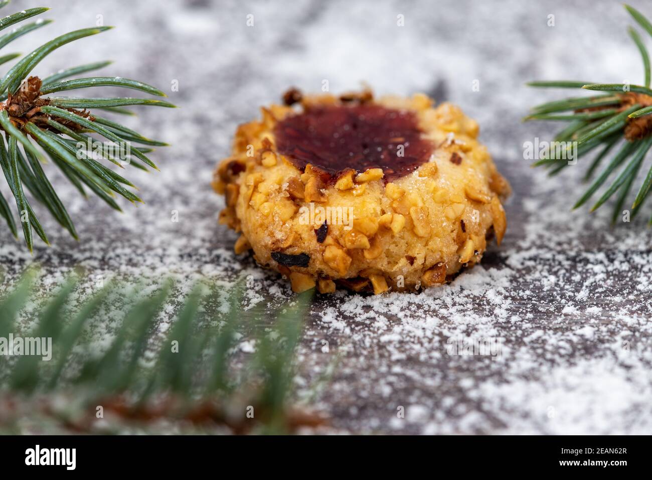 Close-up of Christmas cookie surrounded with powdered sugar nad fir branches Stock Photo