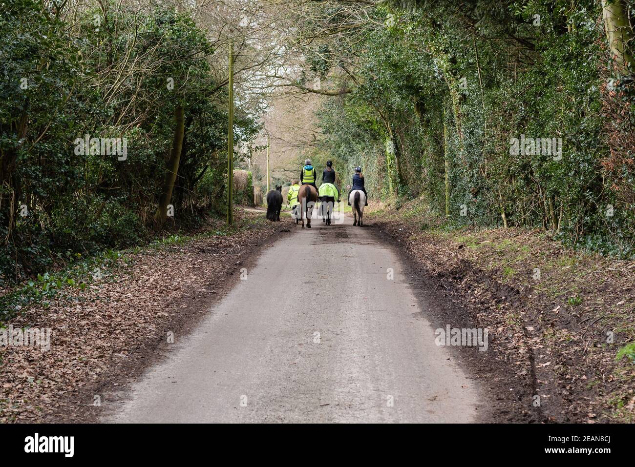 Riding horse on country lane hi-res stock photography and images - Alamy