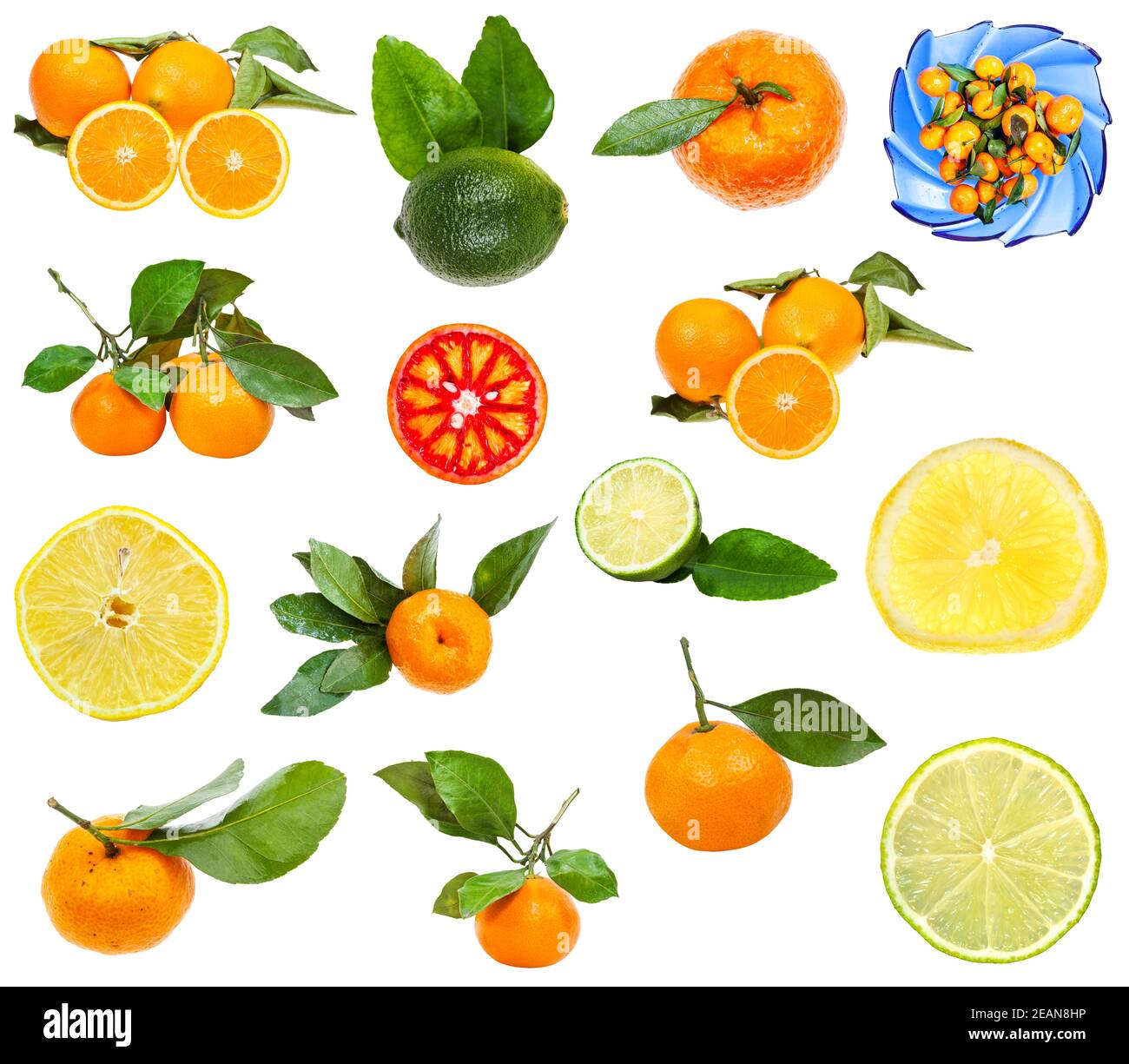 set of various citrus fruits isolated on white Stock Photo