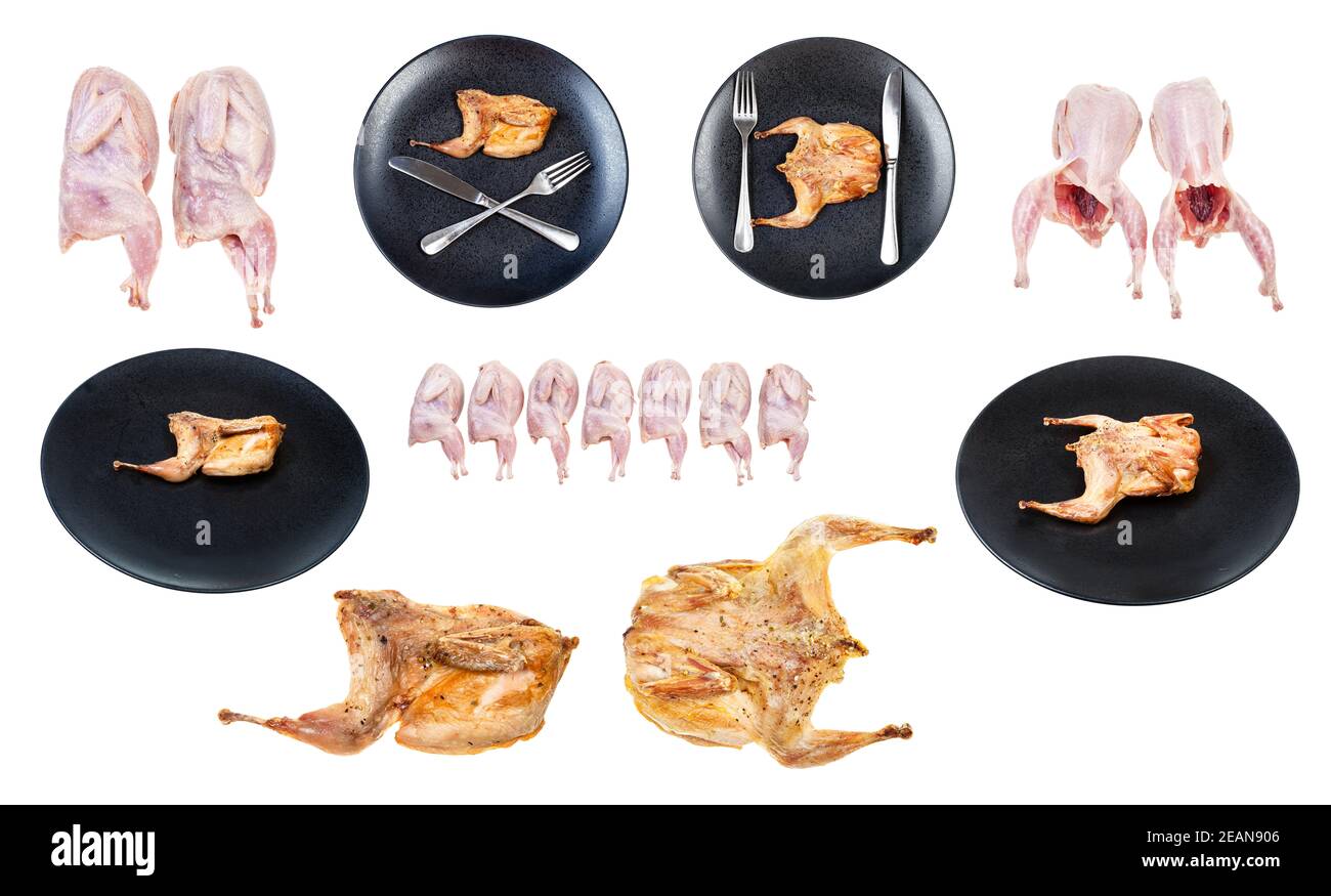 collection of raw and fried quails isolated Stock Photo