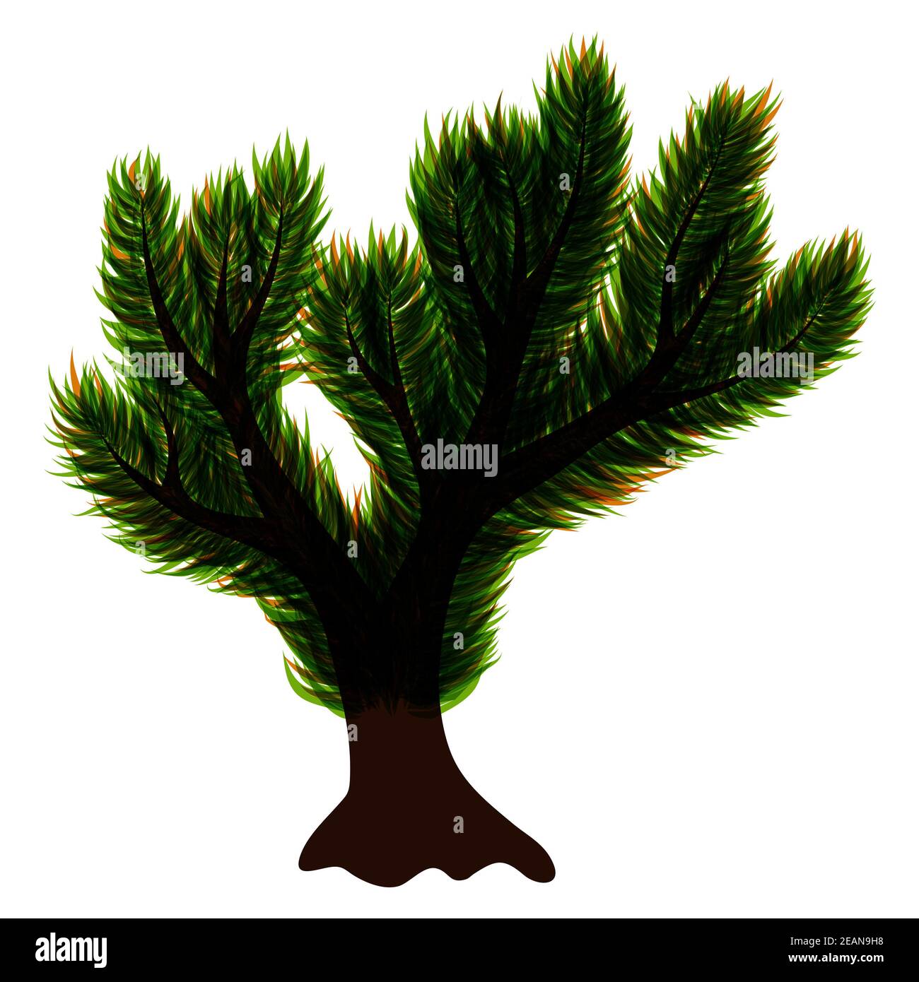 abstract isolated tree with green leaves Stock Photo - Alamy