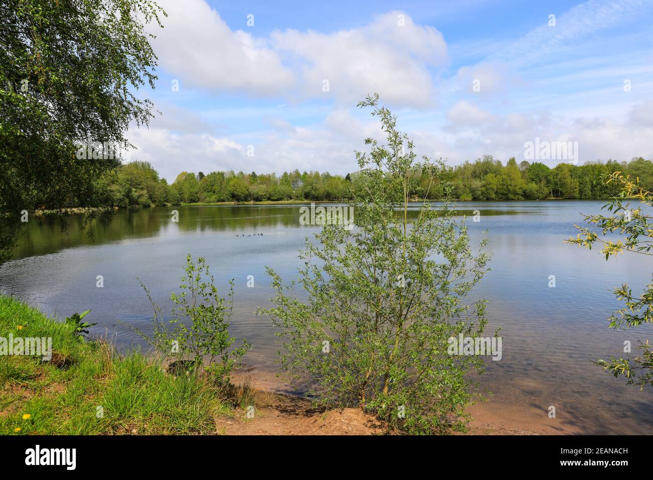 A mere, pool or pond just off the Whitegate Way, Clay Lane, Marton