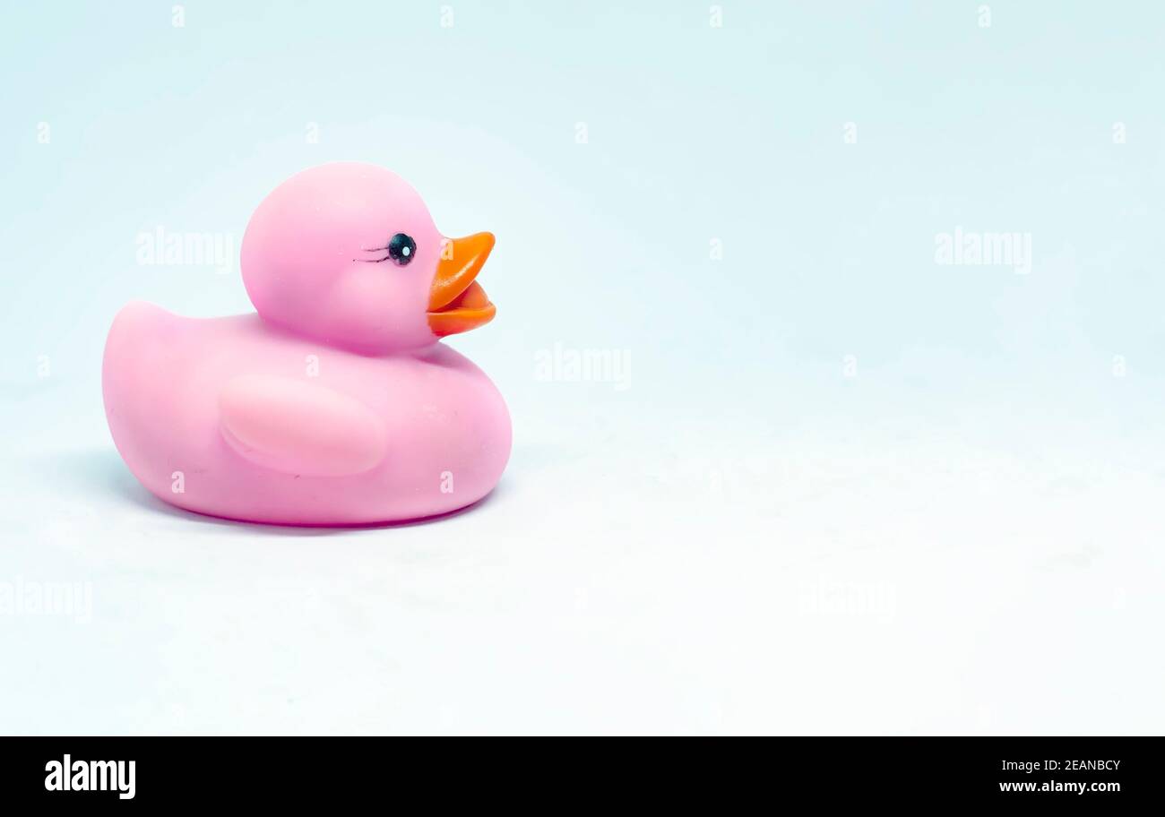 The profile of a pink rubber duck with an orange beak isolated on a white background Stock Photo