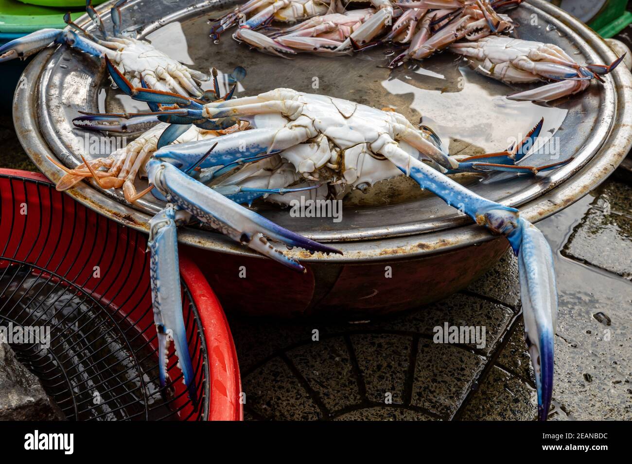 Crabs and seafood at the Hoi An market in Vietnam Stock Photo