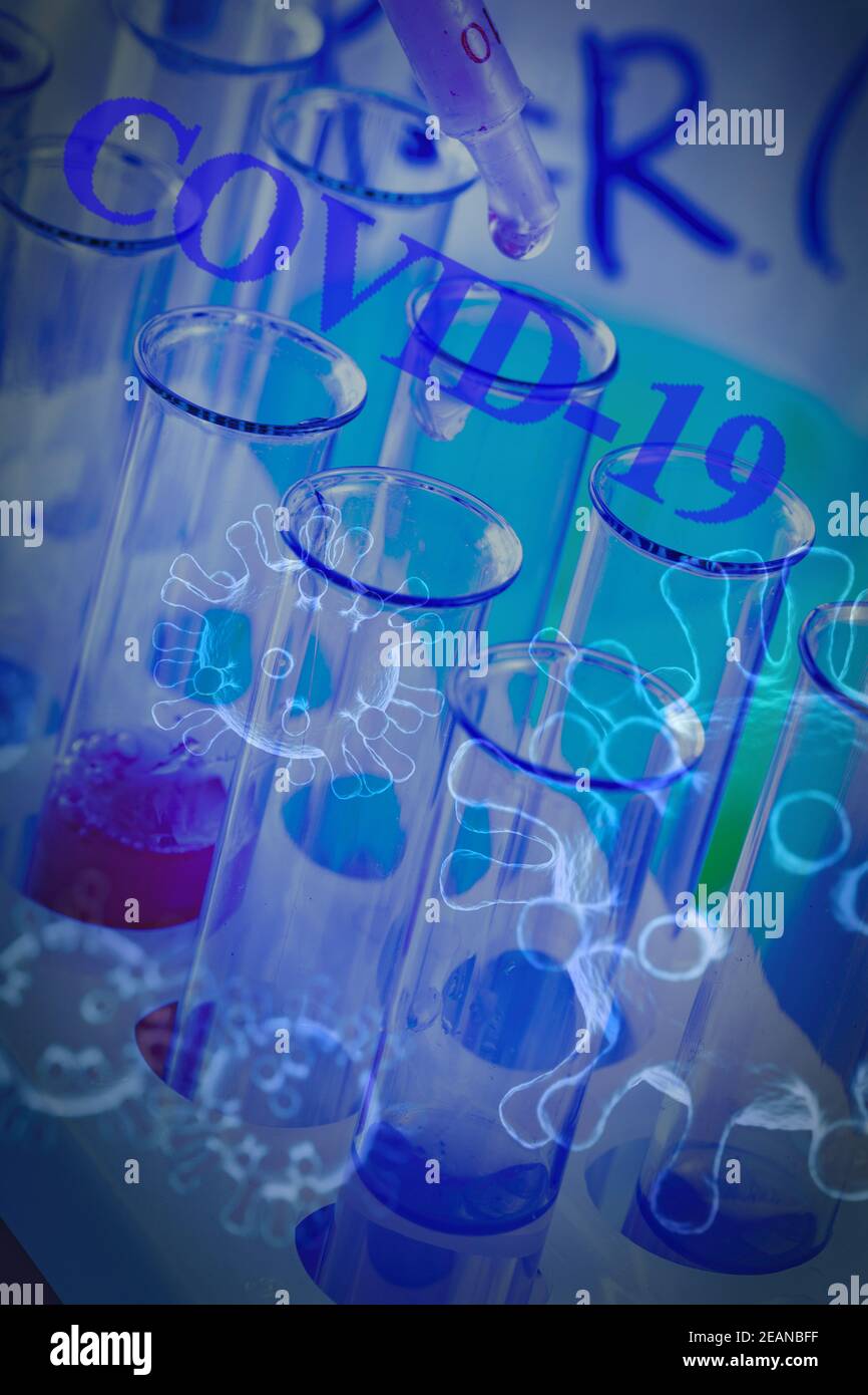 The test tubes and flasks with colored liquid in a laboratory Stock Photo