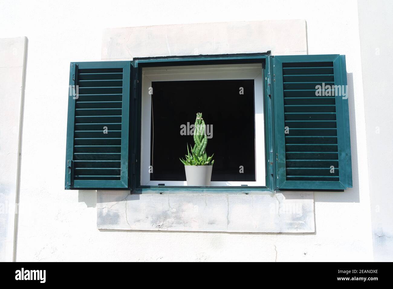 Windows with green shutters Stock Photo