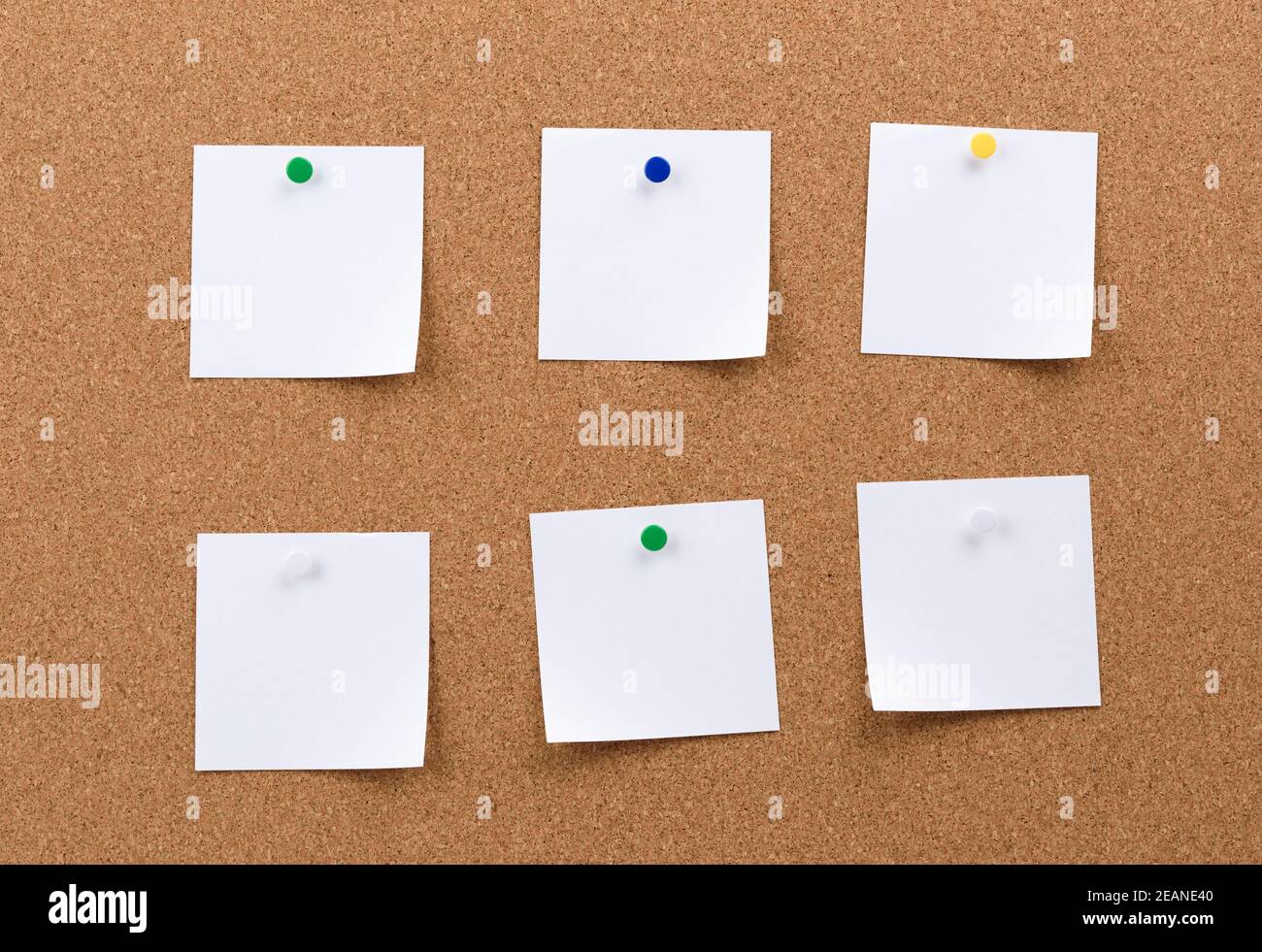 white square blank pieces of paper pinned on a cork board Stock Photo