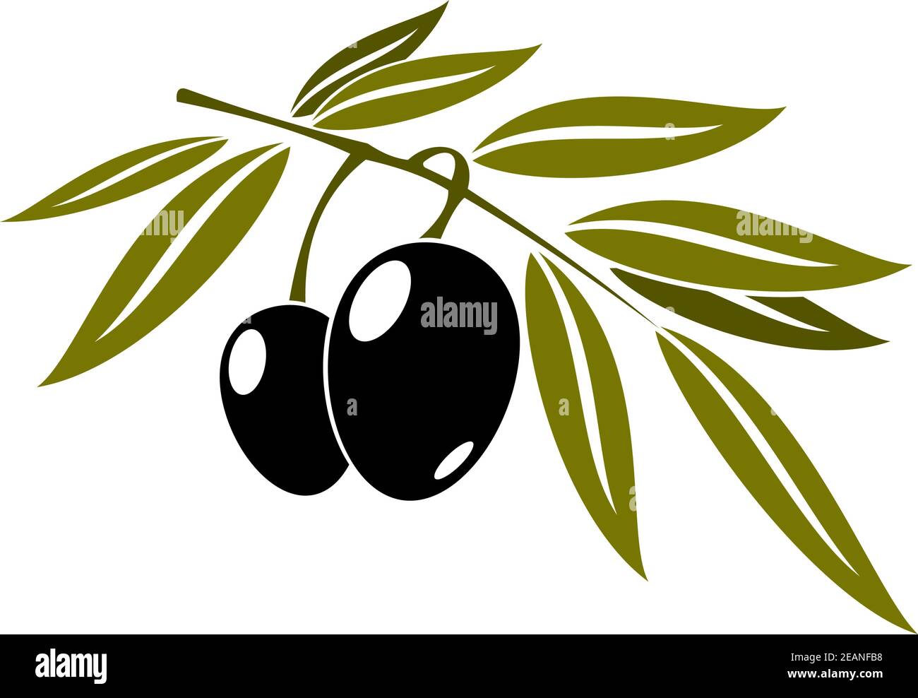 Black olives branch with leaf isolated on white background for cooking ...