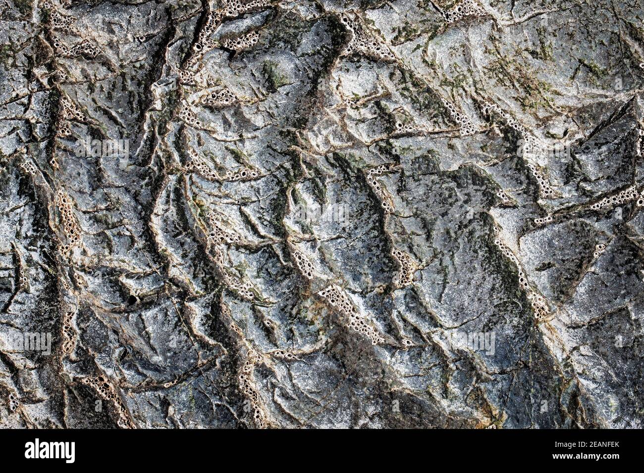 Dark grey black stone background or texture. Selective focus Stock Photo